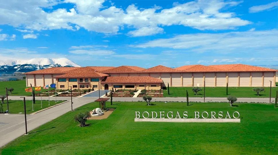 Vignobles Borsao