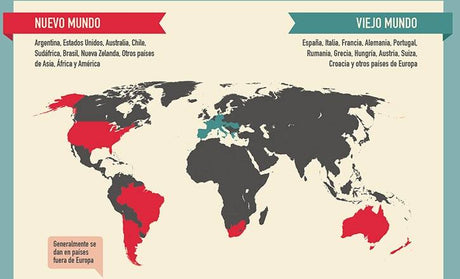 Vinos del Nuevo Mundo