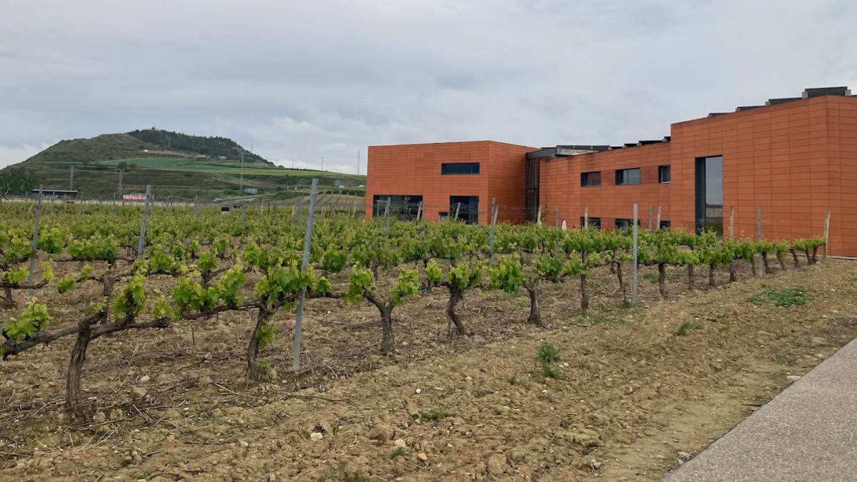 Martínez Lacuesta Wineries