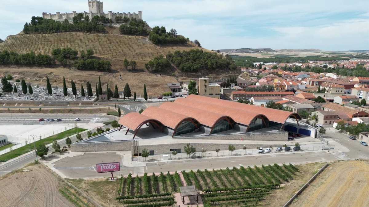 Vignobles Protos
