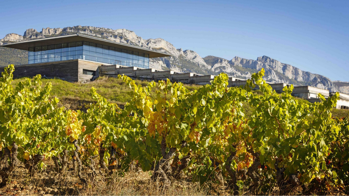 Vignobles de Baigorri