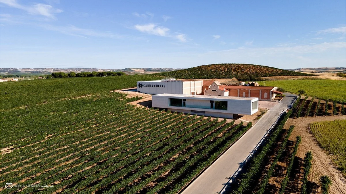 Carramimbre Wineries