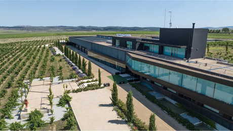 Parler des vignobles