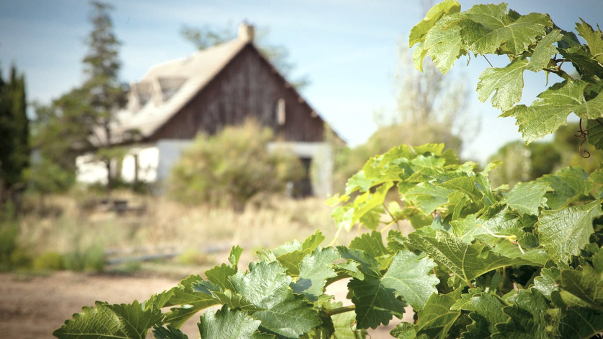 Vignobles Sanz
