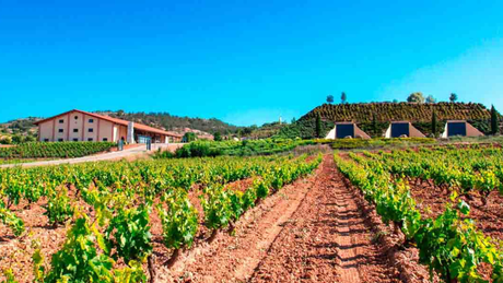 Bodegas Valduero