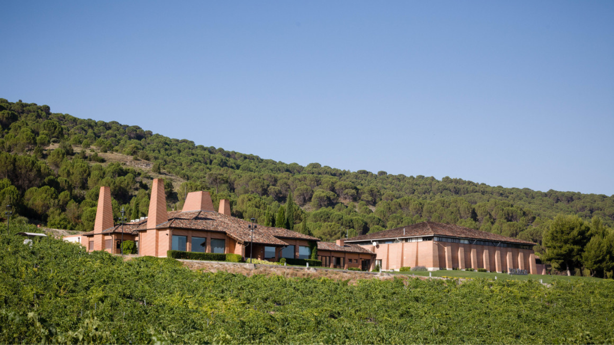 Bodegas Viña Mayor