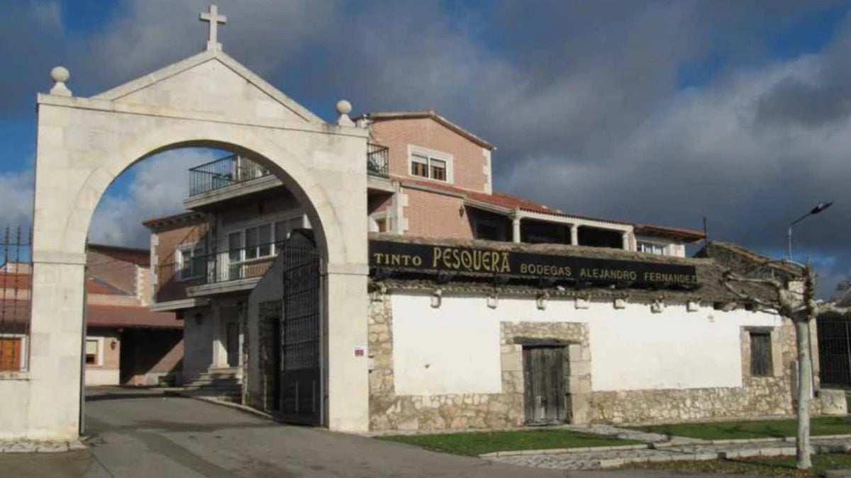 Vignobles Tinto Pesquera