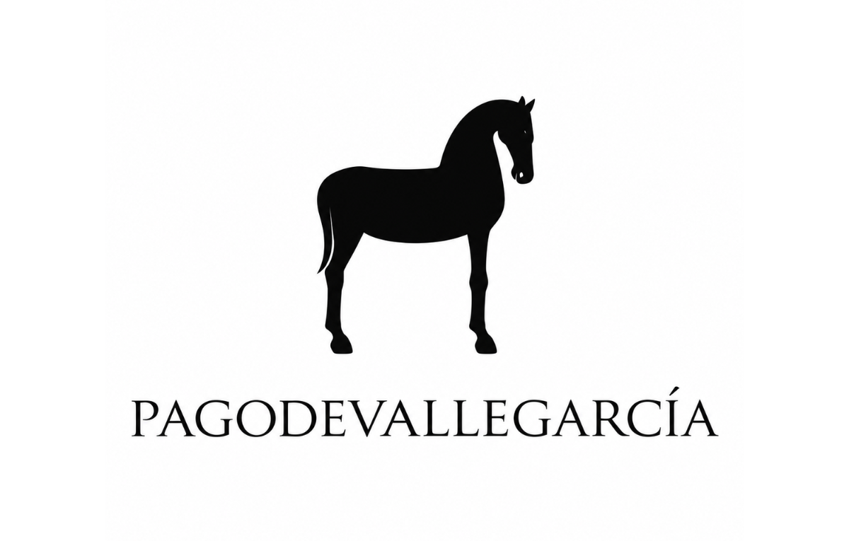 D.O. Paiement Vallegarcia
