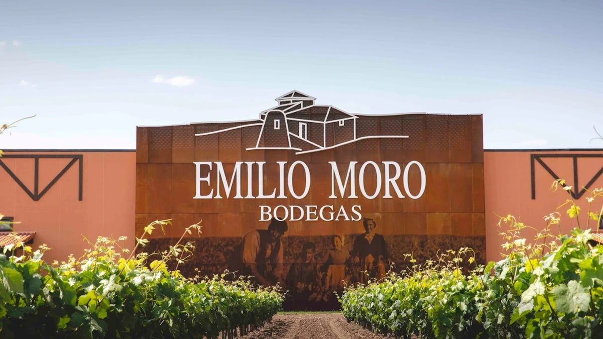 Caves Emilio Moro