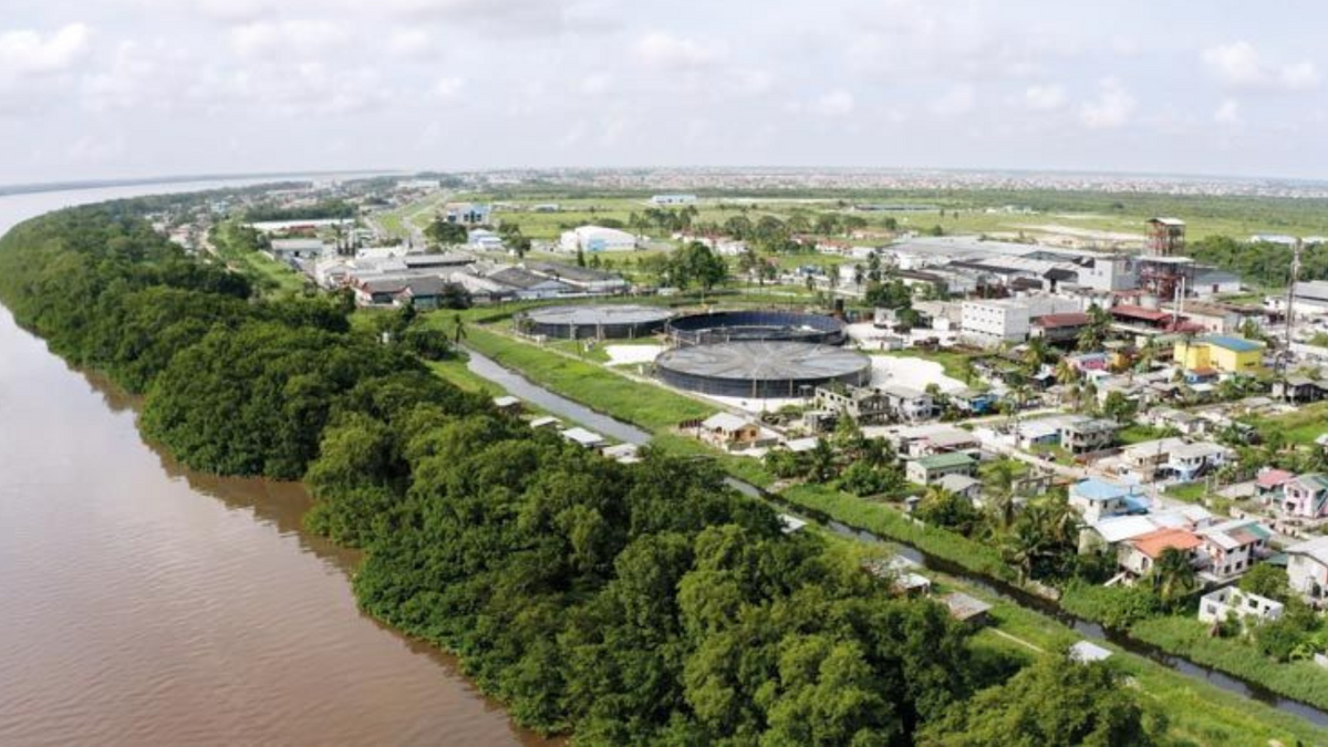 Distillers Demerara (Rhum El Dorado)