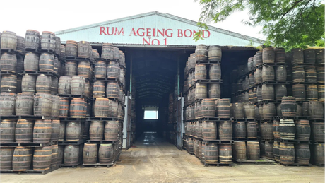 Distillerie de rhum Foursquare