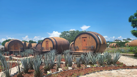 Hacienda Tequilera La Cofradía