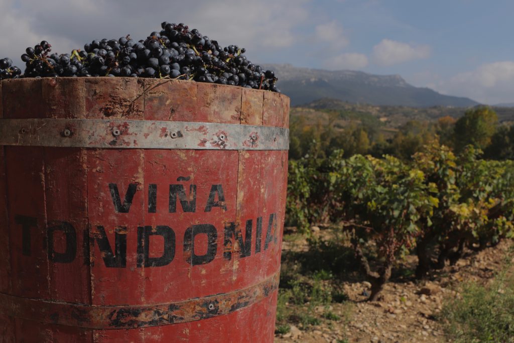 R. Cave López de Heredia - Viña Tondonia