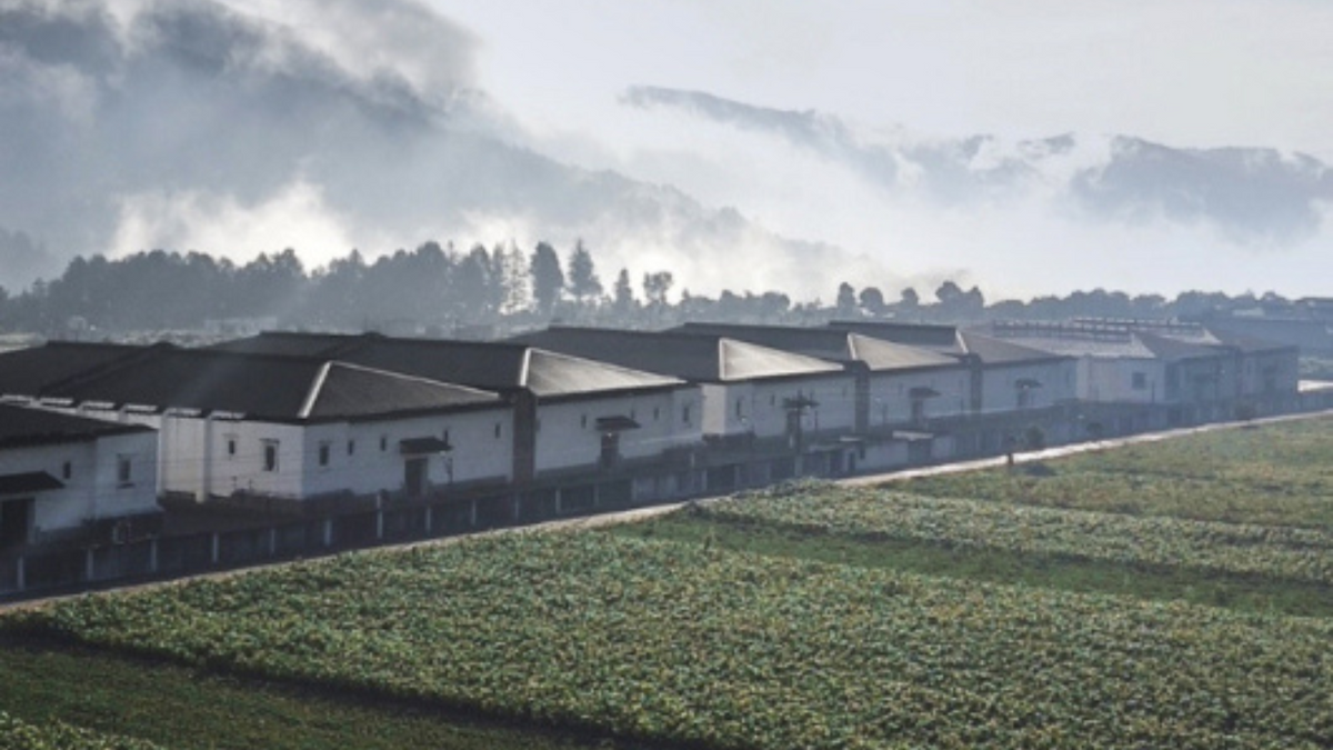 Distillerie Zacapa