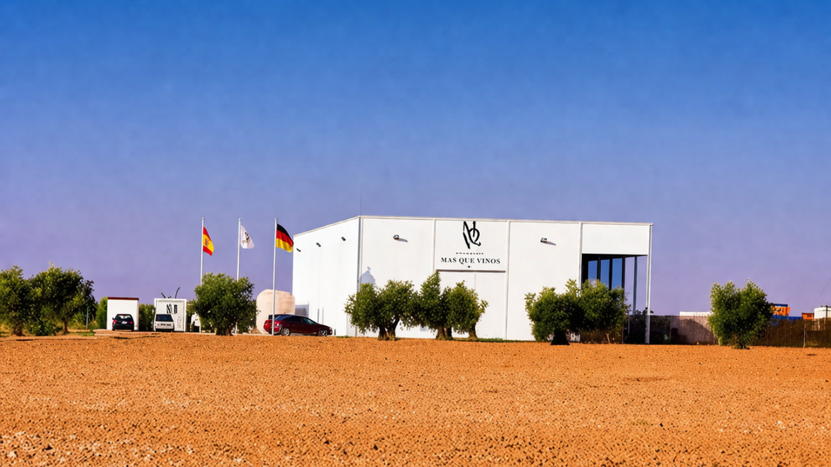 Vignobles plus que des vins