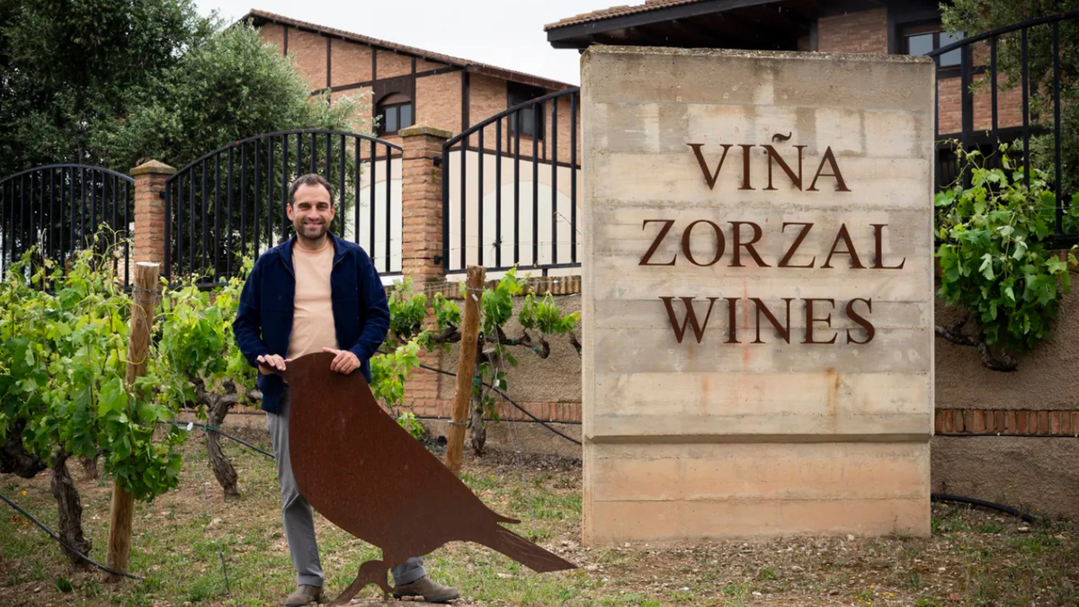 Vins Viña Zorzal