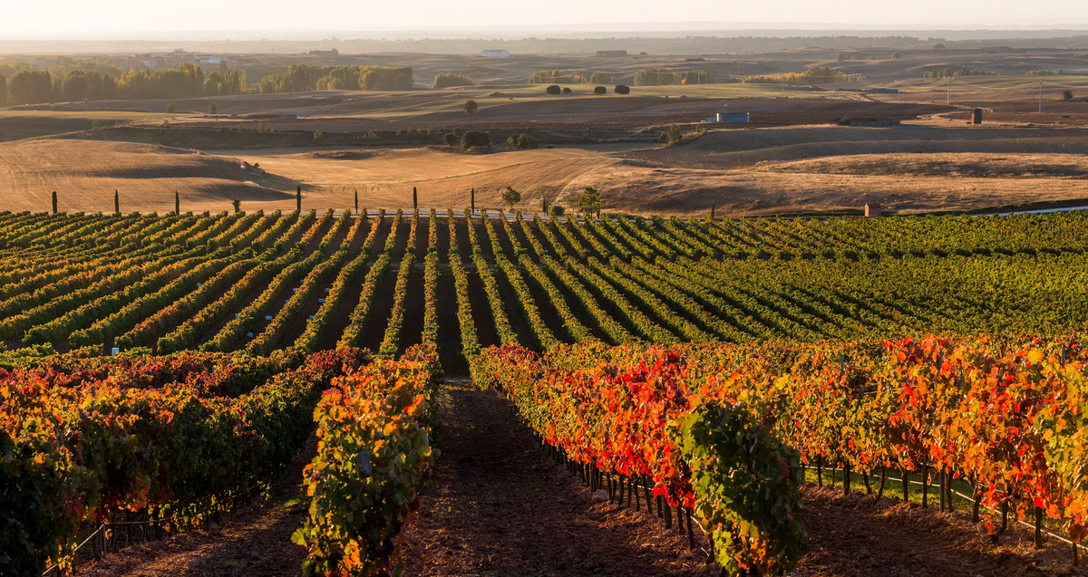 Dominio de Basconcillos Winery