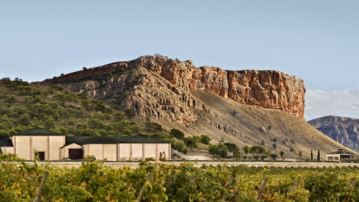 Vignobles Juan Gil