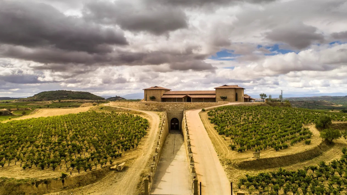 Vignobles et vignobles de la Sierra Cantabrie