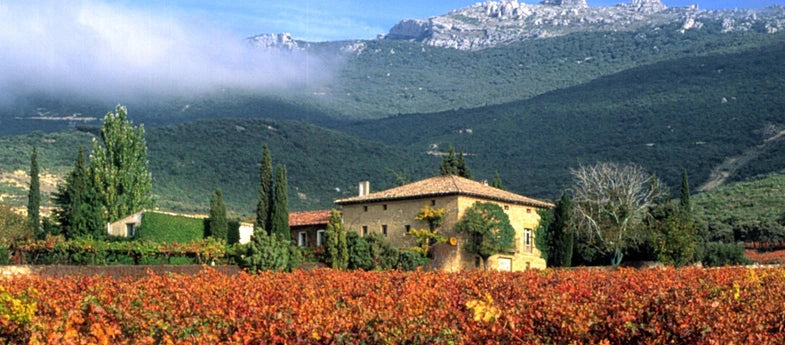 Vignobles Remelluri