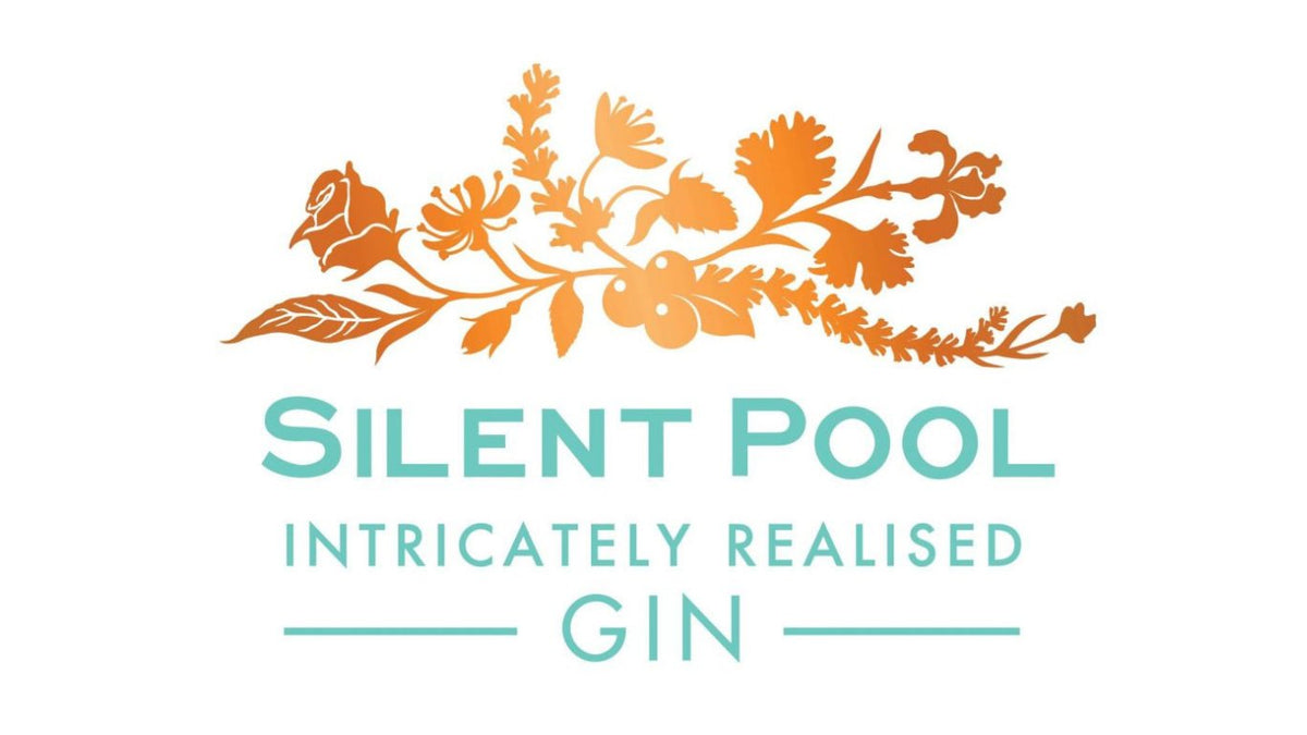 Gin de piscine silencieuse