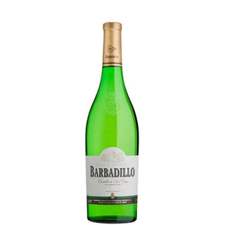 CHÂTEAU DE SAN DIEGO BARBADILLO