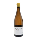 ATLANTIS White 2022