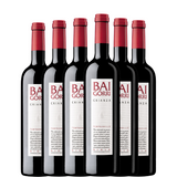 BAIGORRI Crianza 2022 x6 bottles