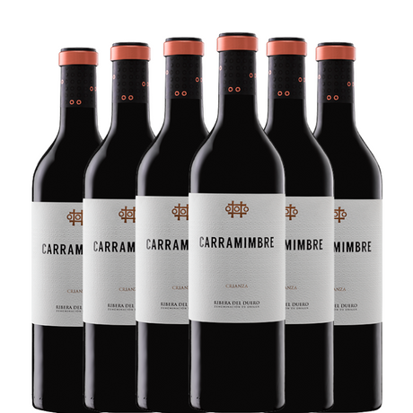 6 bouteilles de Carramimbre Crianza 2022