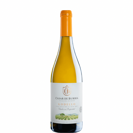 Bottle of Casar de Burbia Godello 2023