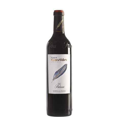 Bouteille de souche Gavilan Crianza 2023
