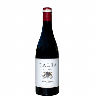 Villages GALIA 2019