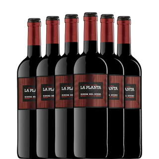 LA PLANTA 2024 x6 bottles