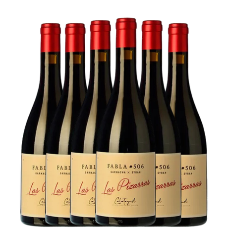 6 bouteilles de vin Las Pizarras Fabla Garnacha de Calatayud