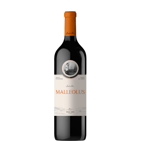 Bouteille de Malleolus 2023 de Bodega Emilio Moro