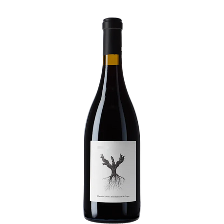 Bouteille de vin PSI 2023 de la cave Dominio de Pingus