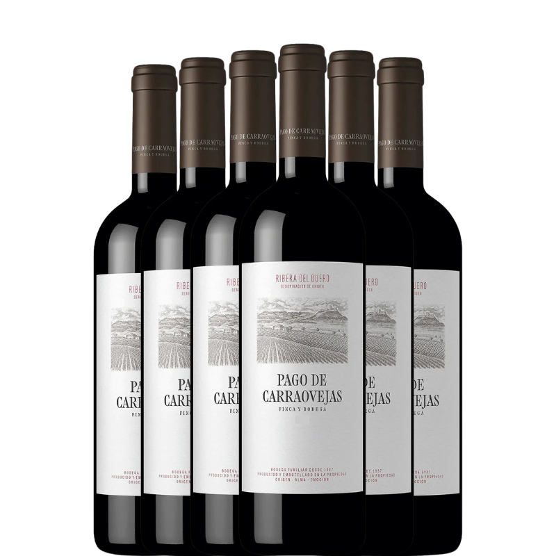 PAGO DE CARRAOVEJAS 2023 x6 botellas