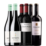 Sélection Ribera del Duero