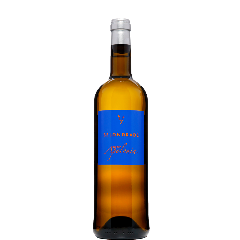 BELONDRADE QUINTA APOLONIA 2024