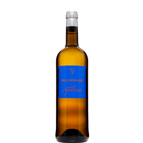 BELONDRADE QUINTA APOLONIA 2025