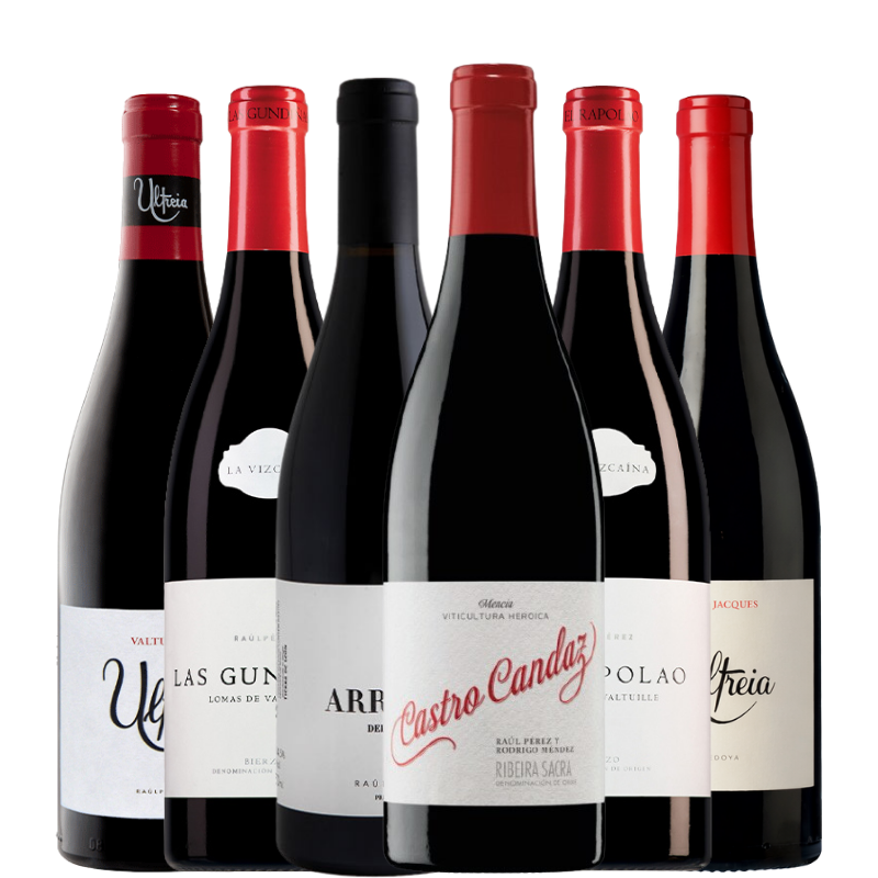 Selección Tintos de  Raul Perez "El Mago del Vino" 6 botellas