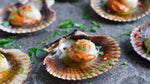 Coquilles Saint-Jacques